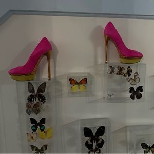 Brian Atwood heels size 6/36